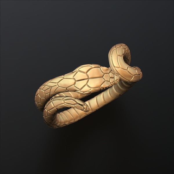 Snake Ring 3D print model