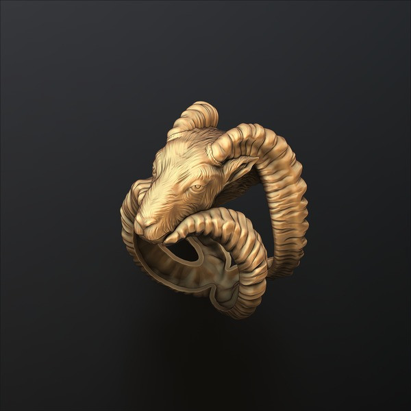 Capricorn Ring 3D print model