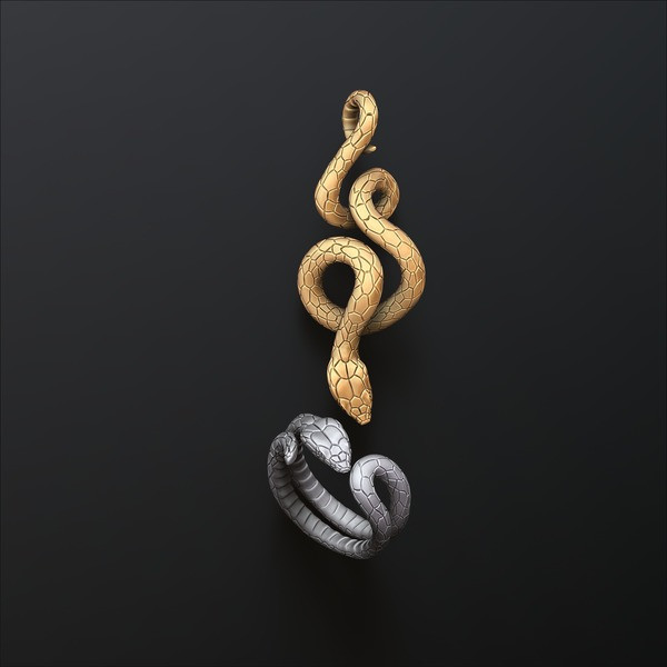 Snake ring pendant set 3D print models