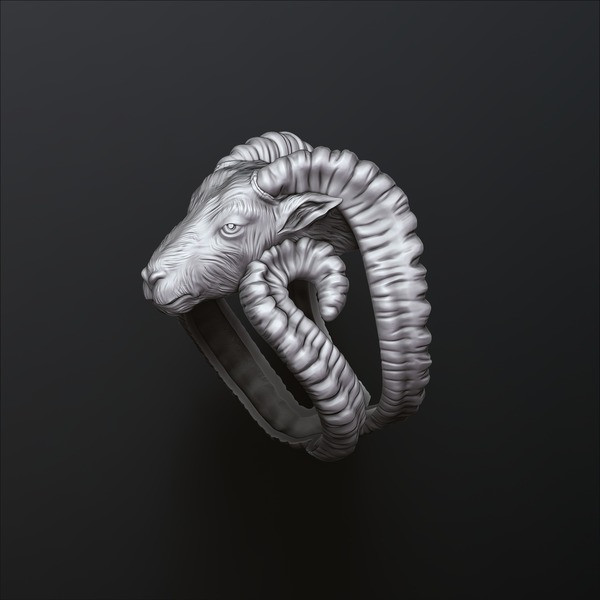 Aries Ring 3D print model